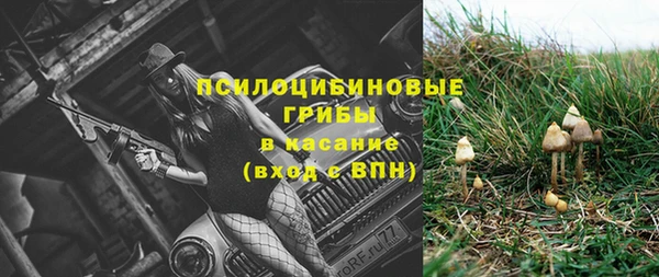спиды Алексеевка