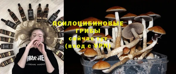 спиды Алексеевка