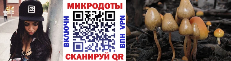 omg вход  Анива  Галлюциногенные грибы мухоморы 