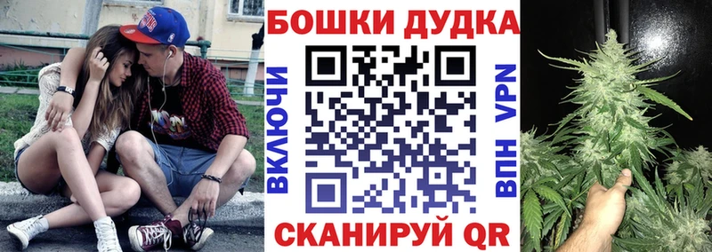 Канабис сатива  продажа наркотиков  MEGA вход  Анива 